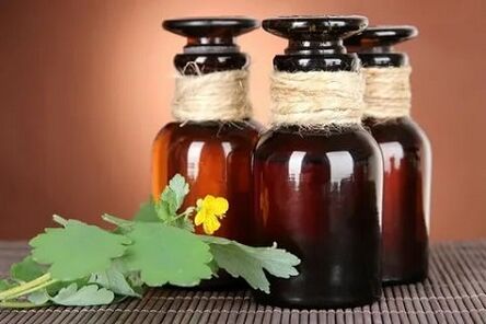 celandine herbal oil for nail fungus