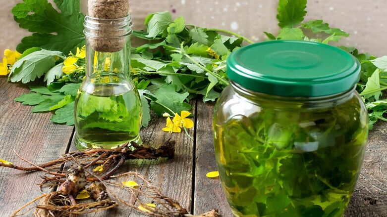 Celandine - a folk remedy for the treatment of fungal infections of the feet